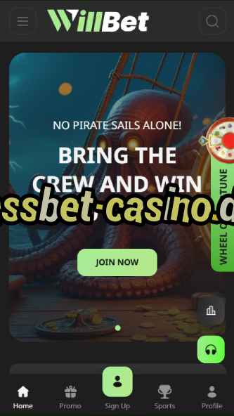 bassbet-casino.de-bandasonoracasino.asdasdzhjkds.com