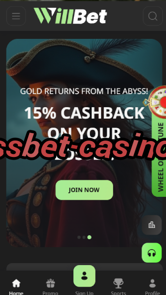 bassbet-casino.de-bandasonoracasino.asdasdzhjkds.com